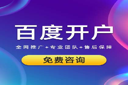 SEM广告投放的竞价策略与效果评估案例